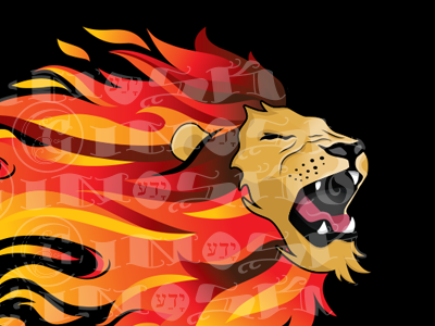 Flaming Lion fire flames handdrawn handmade illustrator lion vector