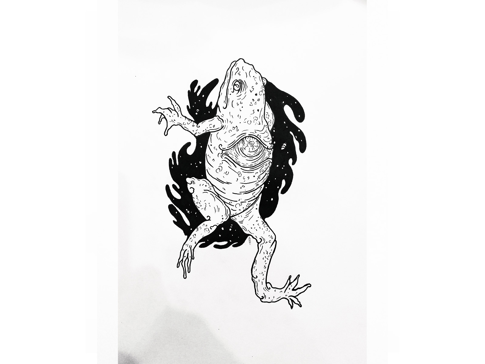 Frog by Erdem haksal on Dribbble Frog