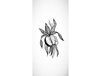 Strange Fruits artwork design illustration illustration art ink inktober logo tattoo tattoo art
