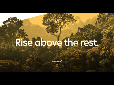 Rise above the rest. circles hero parallax rainforest website