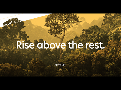 Rise above the rest.