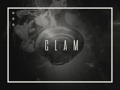 Design for Clam calm clam murky shellfish three shells
