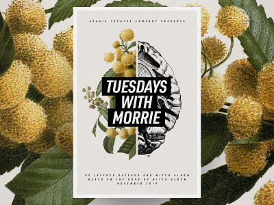 Tuesdays With Morrie anatomical botanical illustration brain flowers poster theatre