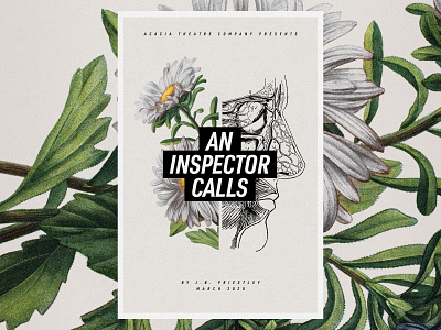 An Inspector Calls anatomical botanical illustration daisies eye flowers poster theatre