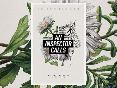 An Inspector Calls