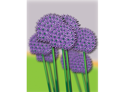 Flowers illustration art design flat illustration illustrator minimal ui ux web website