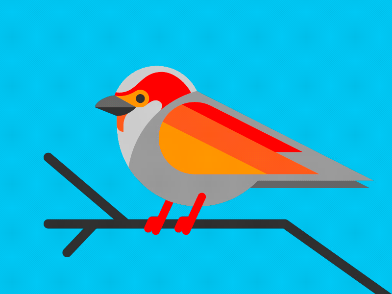 The Wonder of Nature animated bird birdsong gif nature poop sparrow tweet
