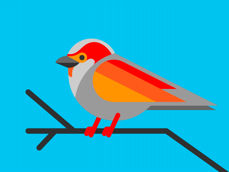 The Wonder of Nature nature bird tweet birdsong sparrow poop gif animated