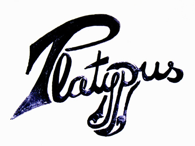 Platypus Logo Sketch hand drawn logo platypus sketch type typography