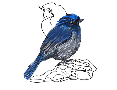 Blue Niltava animal bird blue graphic illustration procreate