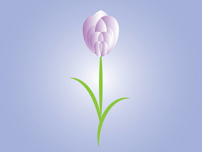 tulip rose design design art dribbble illustration illustrator nature tulip wesam