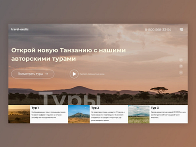 Tanzania tour uiux website design