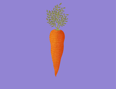 Carrot colorful design illustration procreate