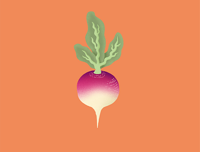 Turnip colorful design illustration procreate