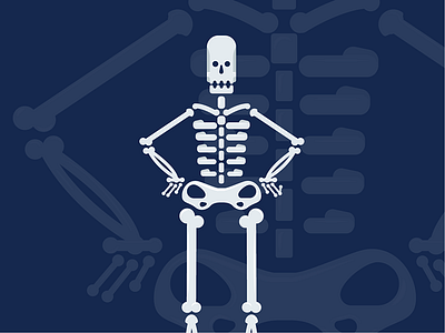 Skeleton / Xray illustration skeleton xray