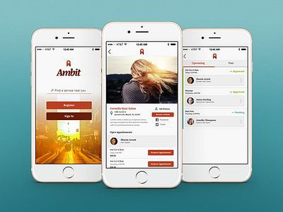 Ambit app ios iphone ui