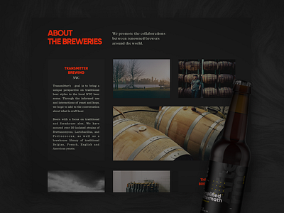 United Beers beer design development interface design layout startup ui ux webdesign website