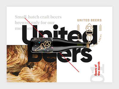 United Beers Design Concept beer branding brewing design development interface layout ui ux web webdesign website