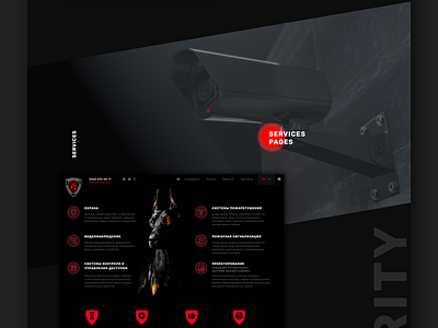 PROVA branding design illustration interface logo ui uiux ux web