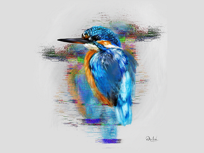 Kingfisher bird design designer graphicdesign illustration procreate