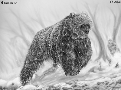 The wanderer bear art drawing drawing tutorial how to draw illustration painting realistic drawing