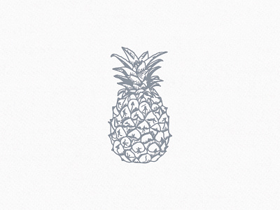 Pineapple charleston illustration pineapple