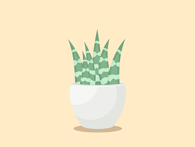 Haworthia Succulent adobe illustrator budge design icon illustration plant succulent the100daychallenge the100dayproject vector