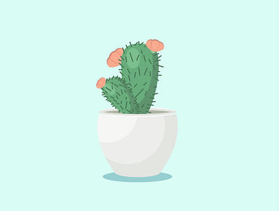 Сactus adobe illustrator budge design icon illustration plant succulent the100daychallenge the100dayproject vector