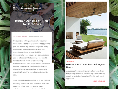 The Young Nomad article blog clean editorial mobile ui ux
