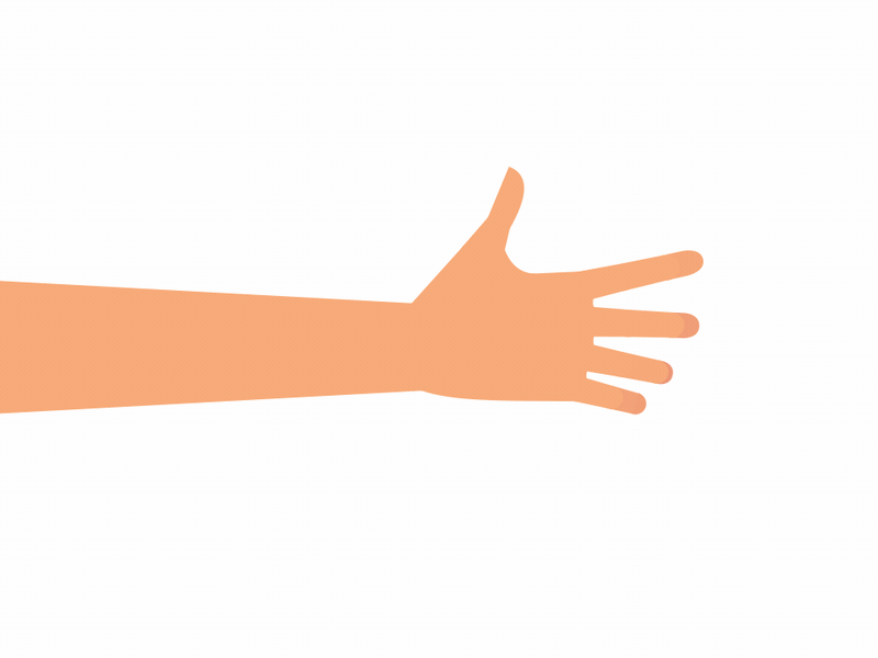 Hand Rig #2