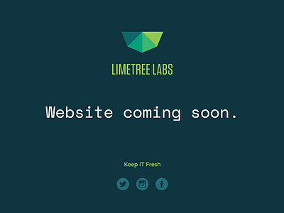 Limetree Labs website it landing page limetree labs