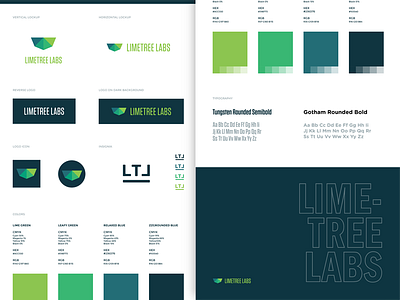 Limetree Labs Style Guide