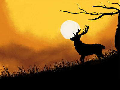 Deer in forest