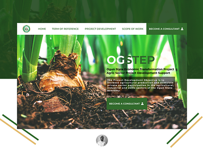 Ogun State Economic Transformation Project (OGSTEP) design figma project ui website