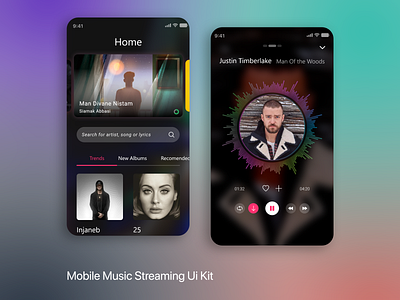 Music Streaming UI Kit graphic design ui