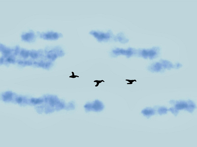 birds in flight birds clouds flying illustration silhouette sky