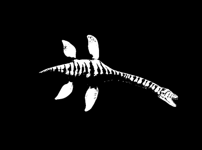 dinosaur illustration black digital art dinosaur extinct illustration prehistoric white