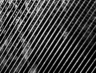 monochrome lines abstract lines monochrome slanted straight