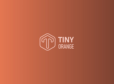 Tiny Orange brand identity branding branding design golden ratio logo logo design logodesign logos rebranding simple visual identity