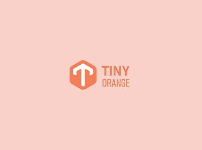 Tiny Orange brand identity branding branding design golden ratio logo logo design logodesign logos rebranding visual identity