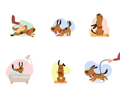 Pet illustration branding illustration web website