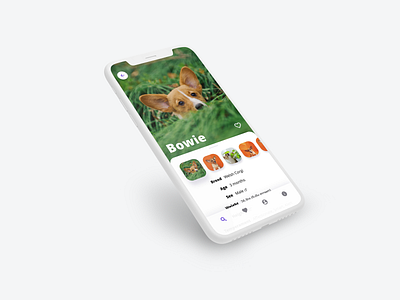 Pet Profile Page UI details page image gallery mobile app design mobile design profile design ui