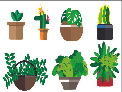 flat design trees on pot