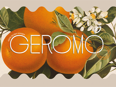 Geromo logo design design flowers identity illustration logo