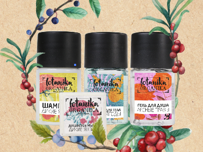 herbs berries birds botany bottles branding colour cosmetic flowers graphic design identity illustration watercolour