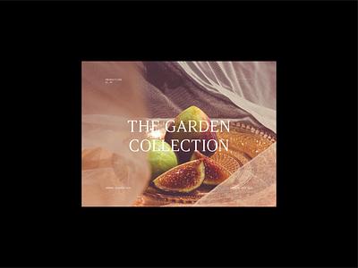 The Garden Collection art direction brand identity branding composition design graphic layout millennials minimal modern photography screen visual visual design visual identity