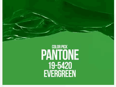 Pantone Evergreen animation motiongraphics trapcode