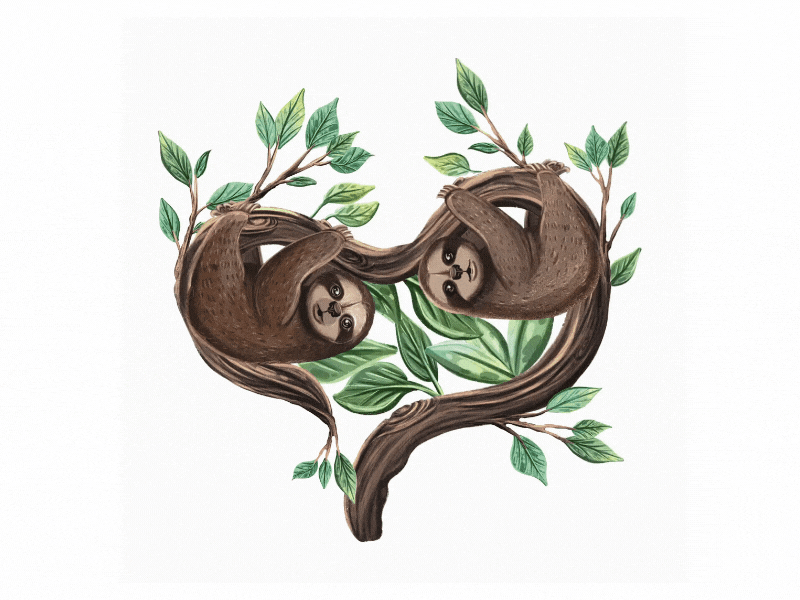 Sloths in love