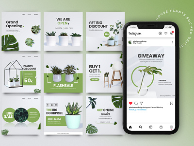 House Plants Social Media Post Design