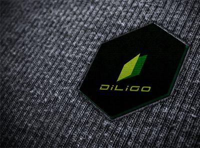 Diligo_logo